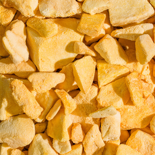 SNACK MANGA LIOFILIZADA - DAVIDA