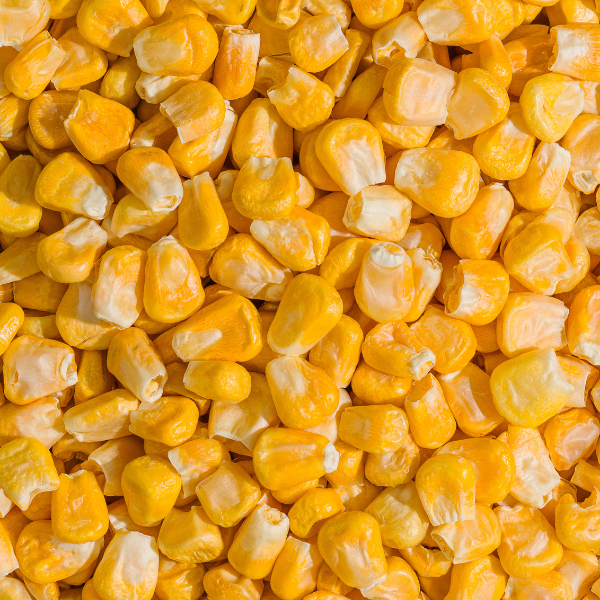 SNACK MILHO LIOFILIZADO - DAVIDA