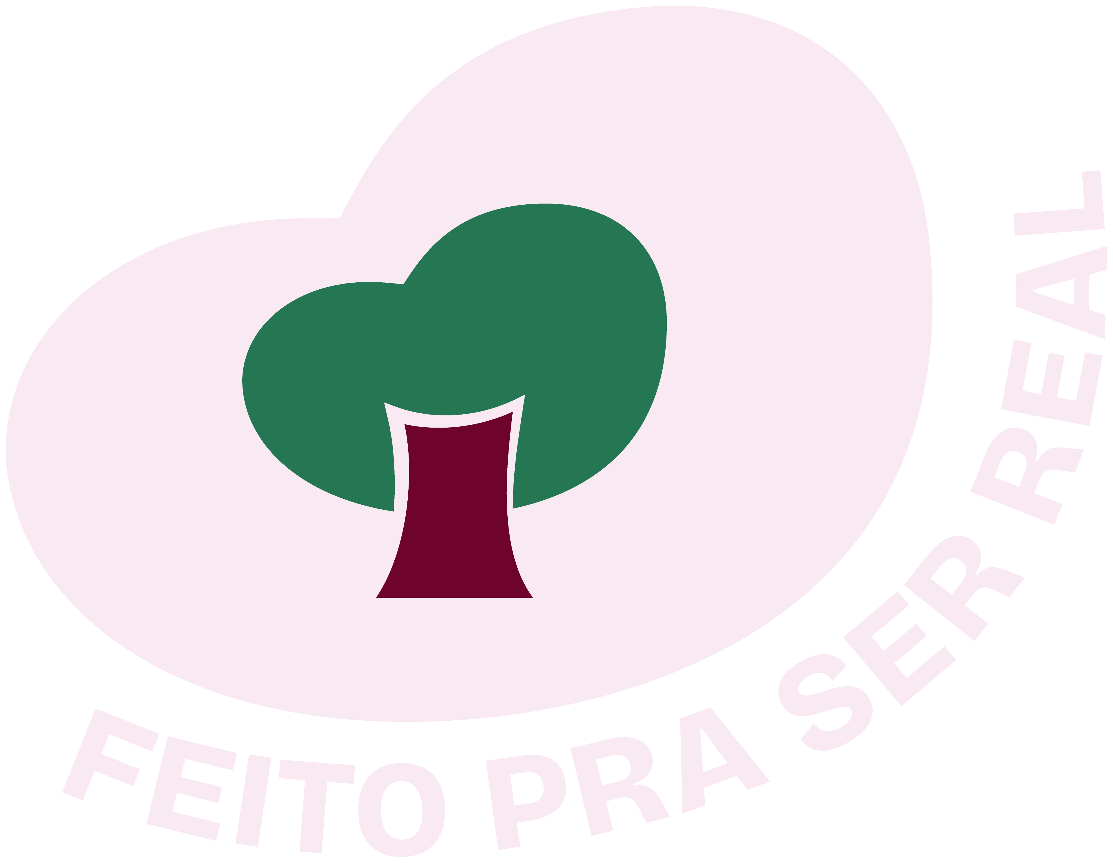 davida alimentos